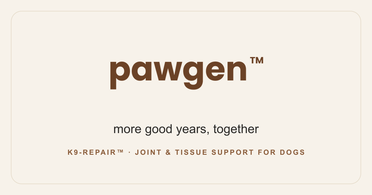 Baby Gates for Dogs for Stairs: Where to Install Them · pawgen