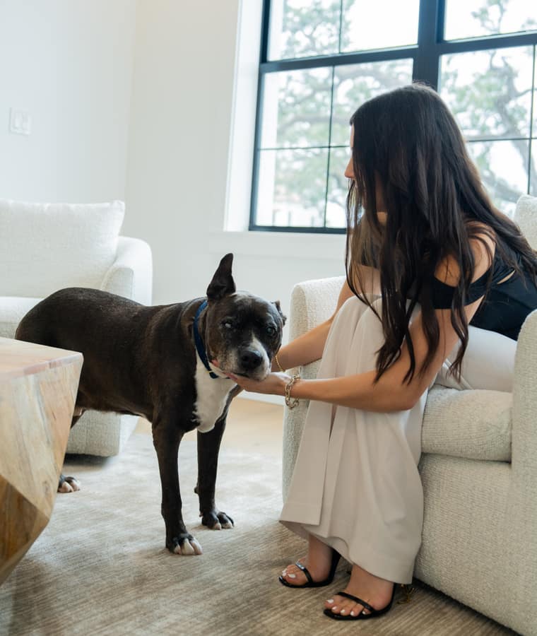 Choo Choo, a happy senior dog, at home with his owner
