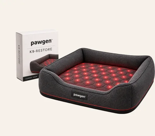 K9-RESTORE — red-light recovery bed
